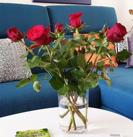 Rozart - River Marina With Free Parking Appartement *